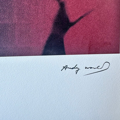 ANDY WARHOL The shadow myths