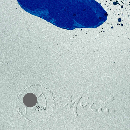Joan miro