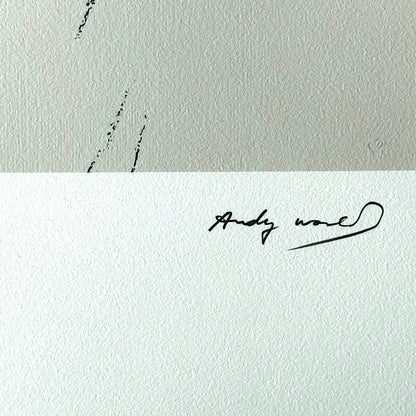Andy warhol goethe