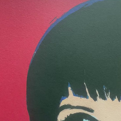Andy Warhol Liza Minnelli Lithografie Arches 300gsm 42x59 cm