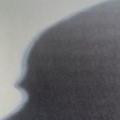 Andy Warhol – ‘The Shadow Myths’ – Gelimiteerde en genummerde editie