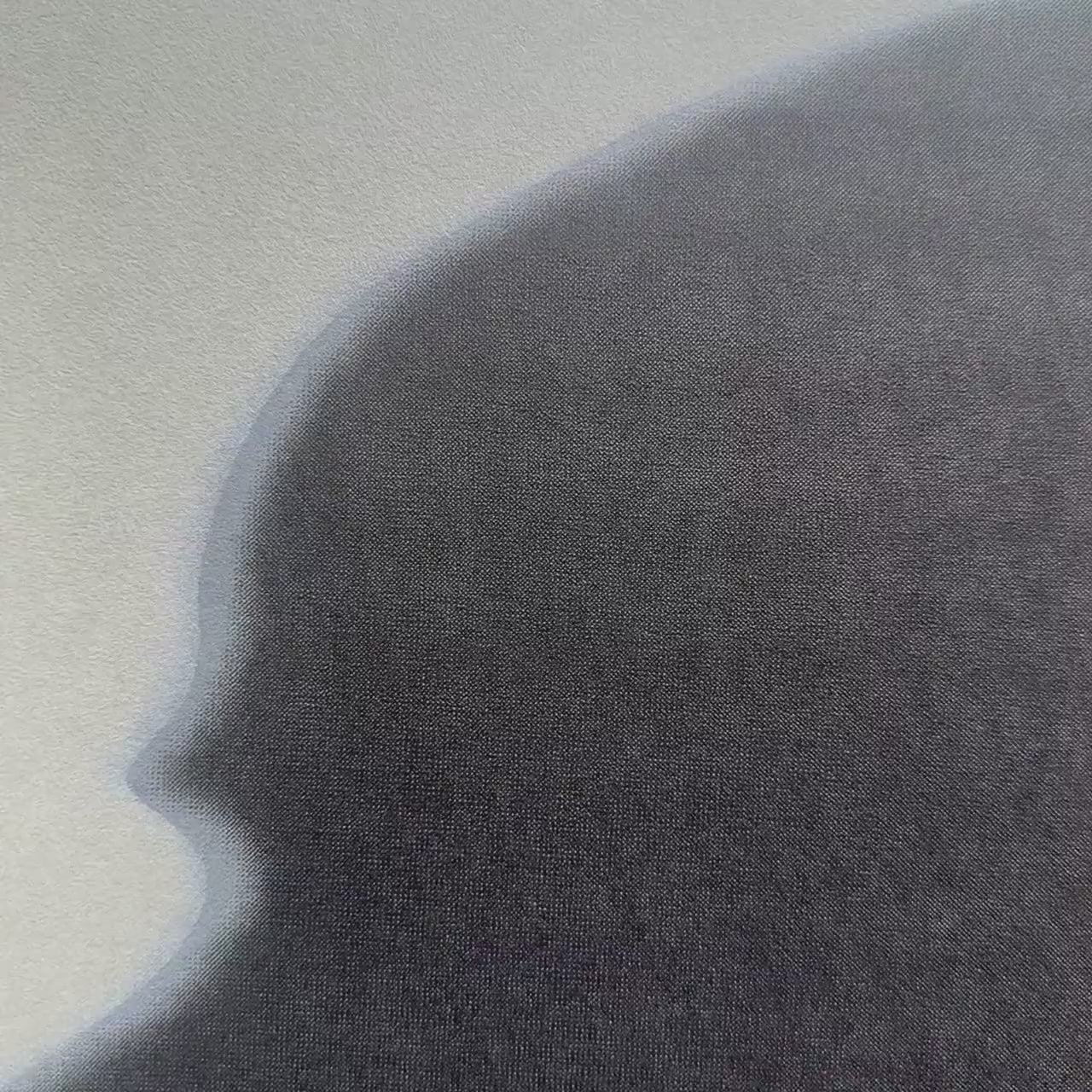 Andy Warhol – ‘The Shadow Myths’ – Gelimiteerde en genummerde editie
